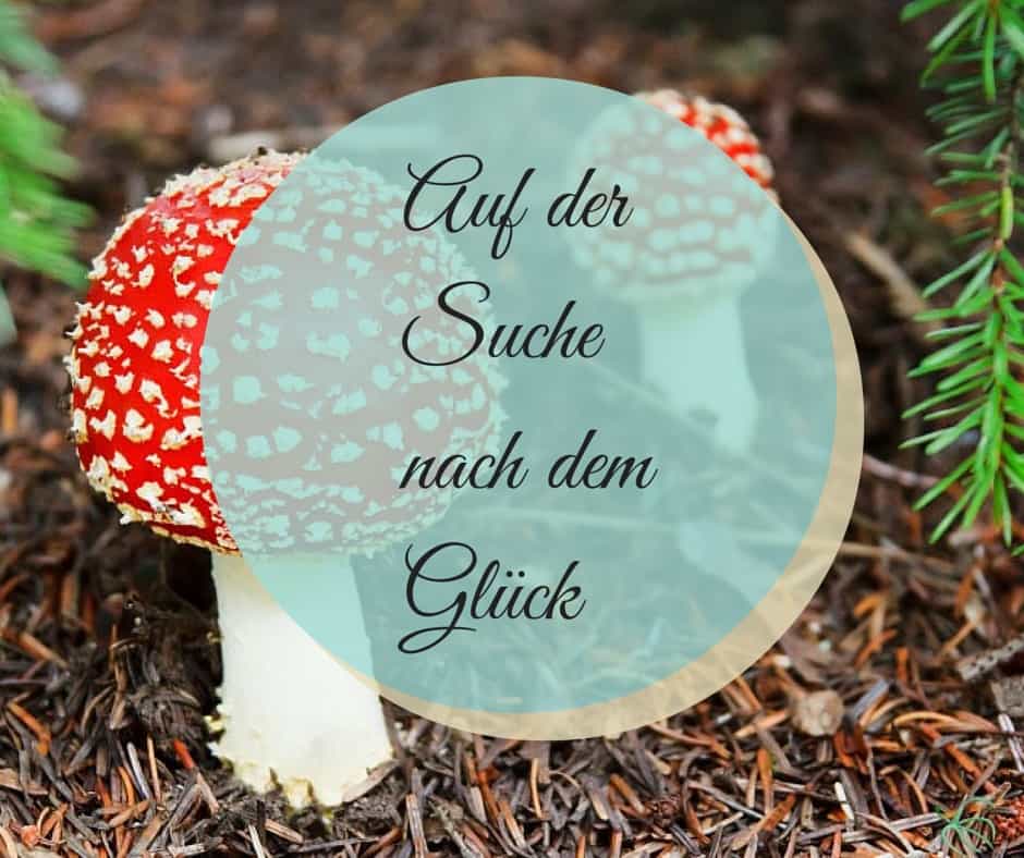 Auf der Suche nach dem Glück Raus aus dem Kokon!