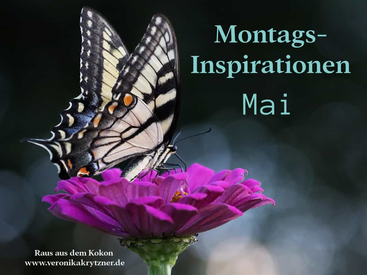 Montagsinspiration,Inspiration, Persönlichkeitsentwicklung, Selbstwert